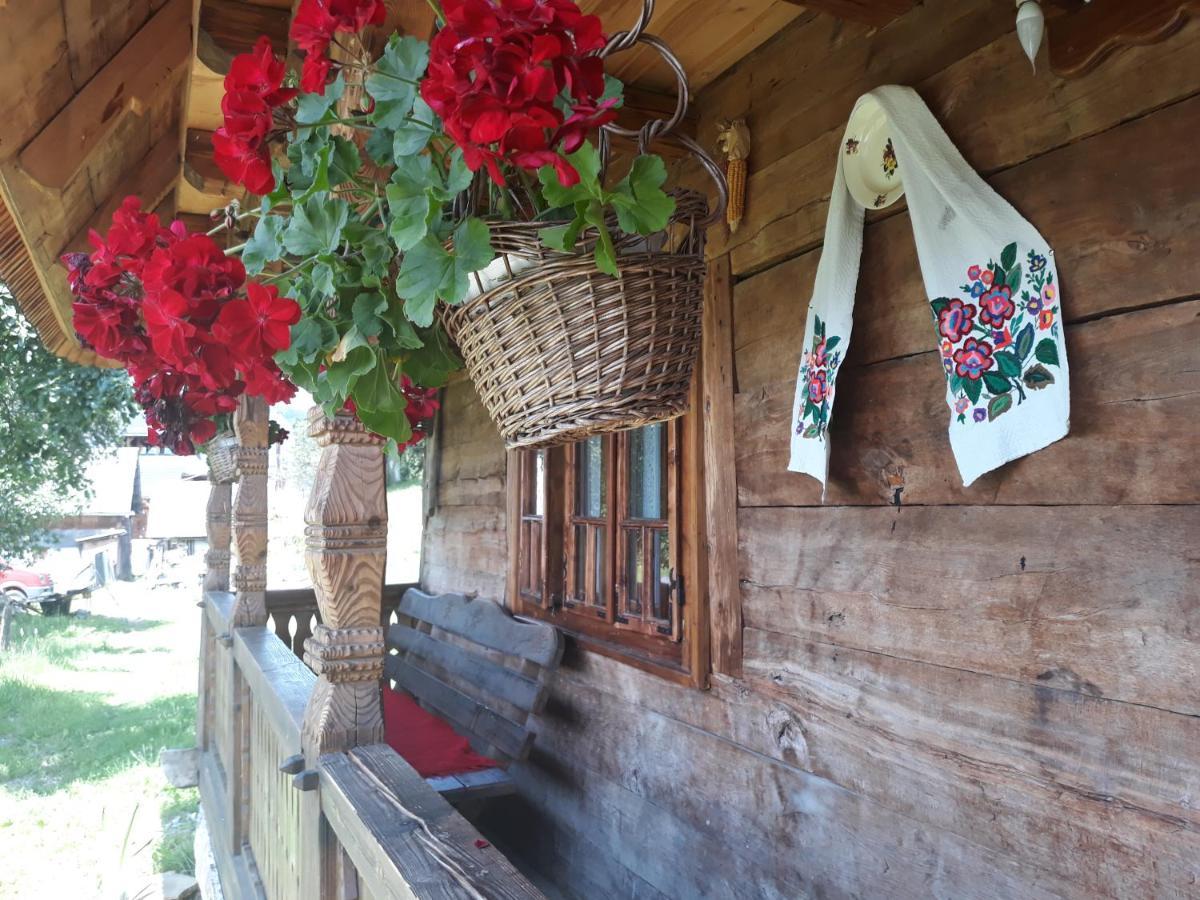 Pensiunea La Gorgan Vadu Izei Exteriér fotografie