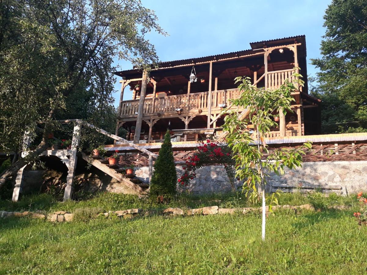 Pensiunea La Gorgan Vadu Izei Exteriér fotografie