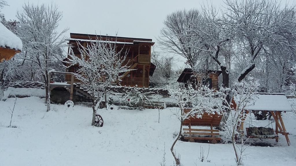 Pensiunea La Gorgan Vadu Izei Exteriér fotografie
